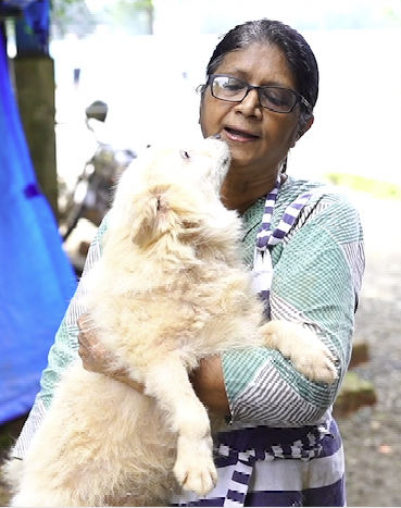 Medical Fund for Injured Street Animals